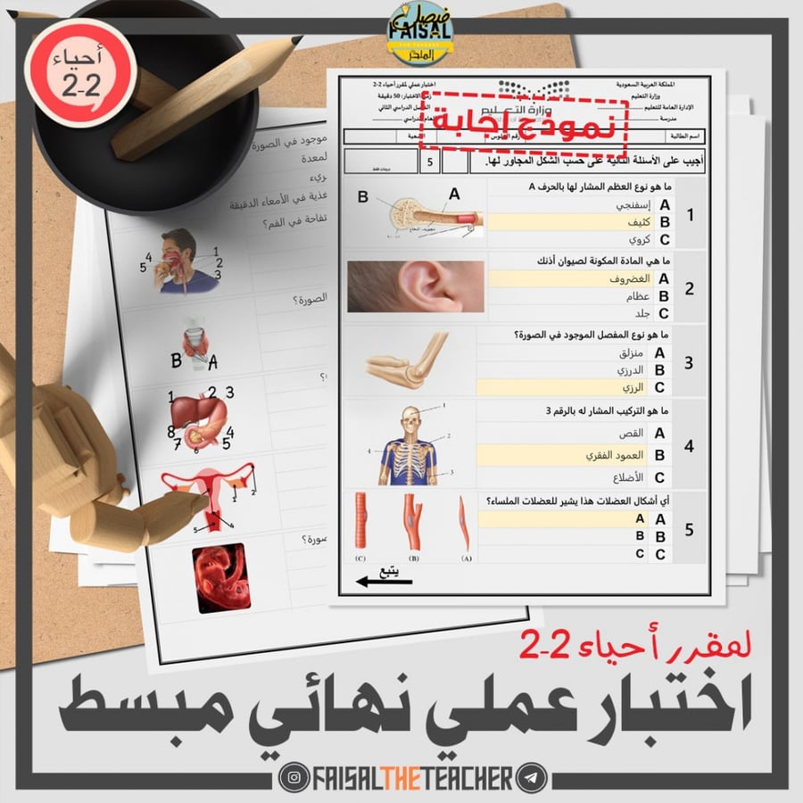 01 اختبار عملي نهائي مبسط لعلم أحياء 2-2