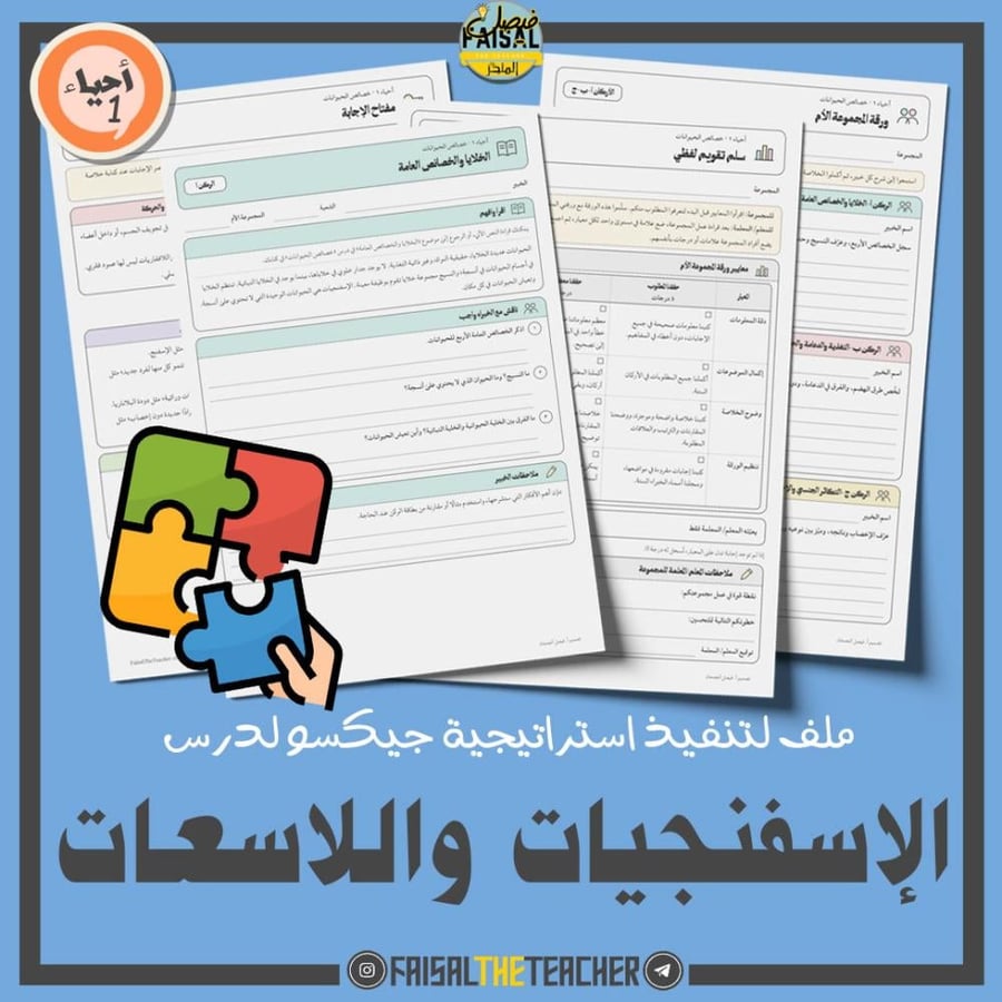 نشاط جيكسو - الإسفنجيات واللاسعات