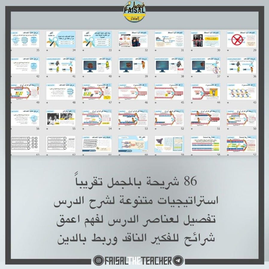 عرض لدرس تضاعف DNA - 28