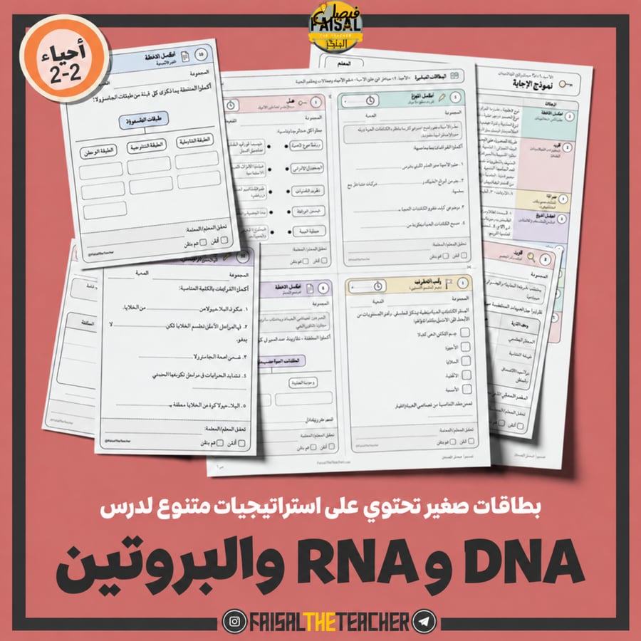 استراتيجيات صغيرة - DNA وRNA والبروتين