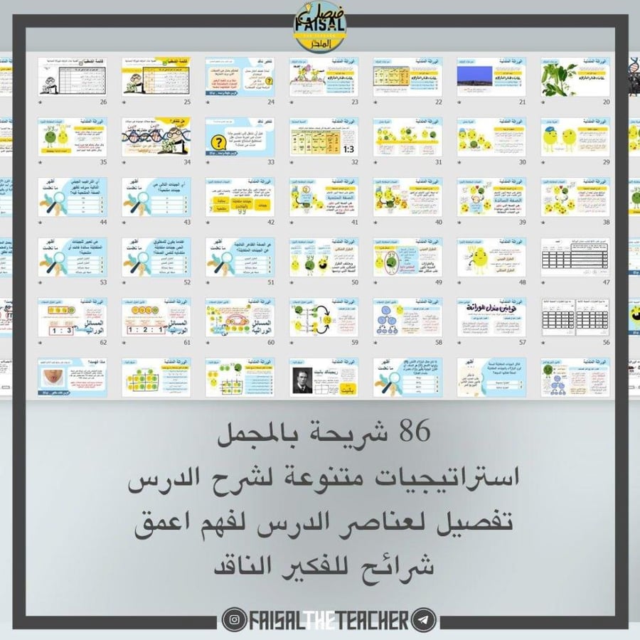 عرض لدرس الوراثة المندلية - 20