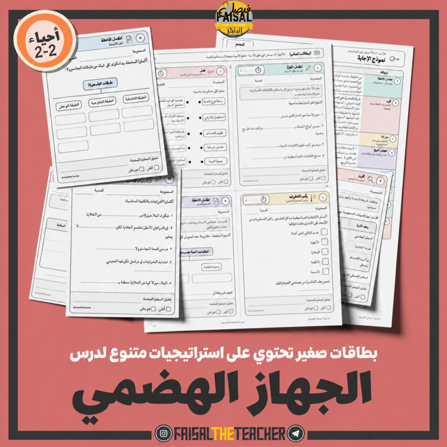 استراتيجيات صغيرة - الجهاز الهضمي