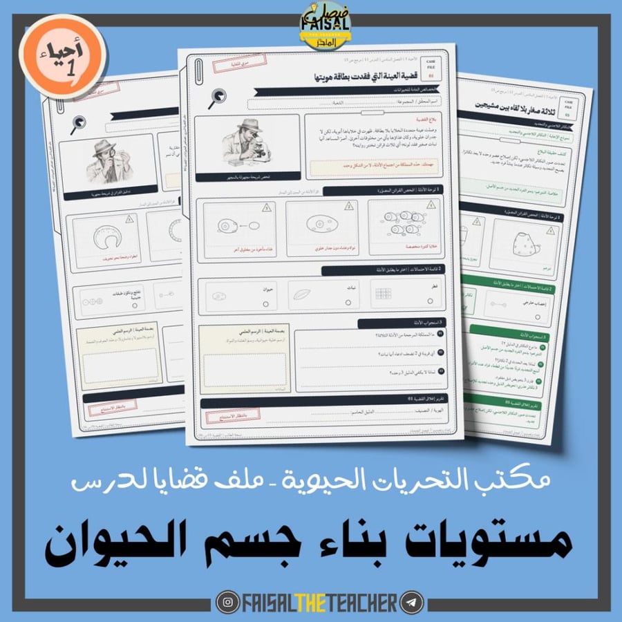 مكتب التحريات الحيوية - مستويات بناء جسم الحيوان