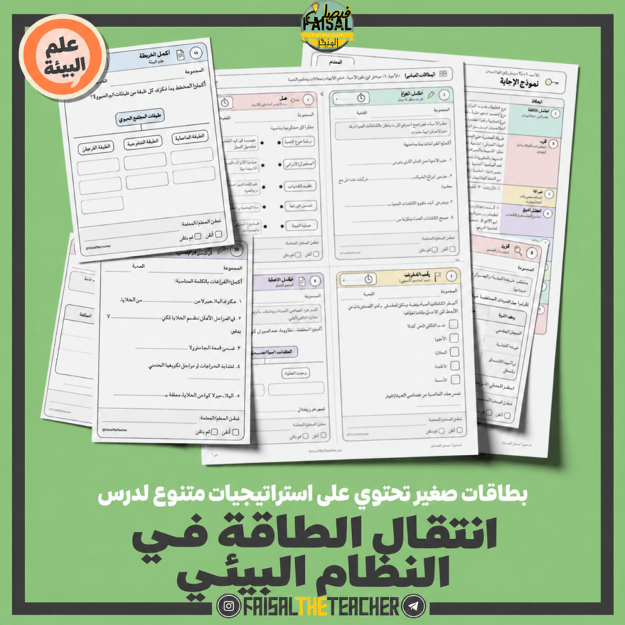 استراتيجيات صغيرة - انتقال الطاقة في النظام البيئي