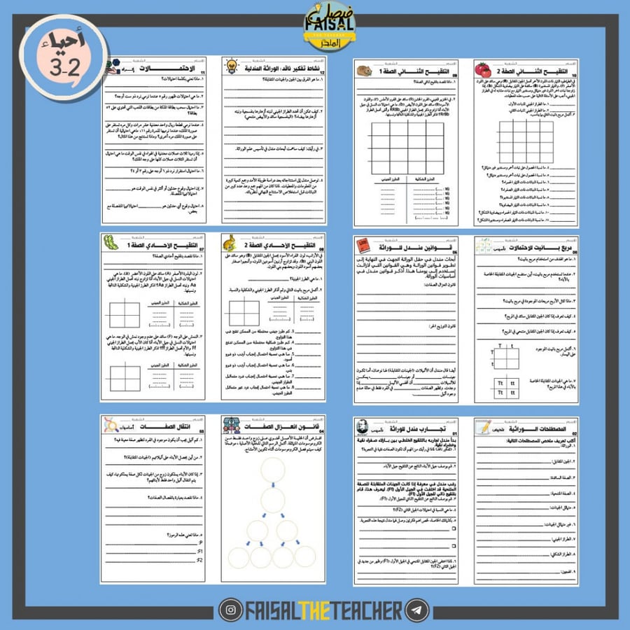 دفتر ملاحظات الوراثة المندلية