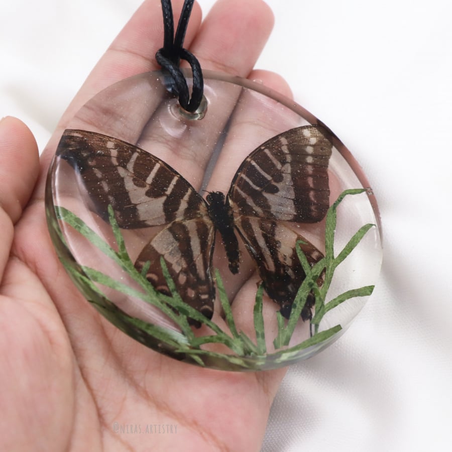 A real butterfly car decoration