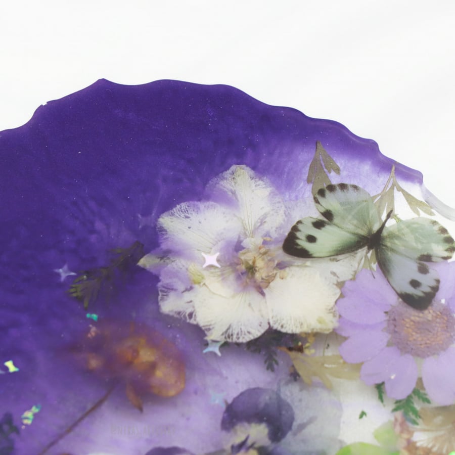 Purple Cloud coaster