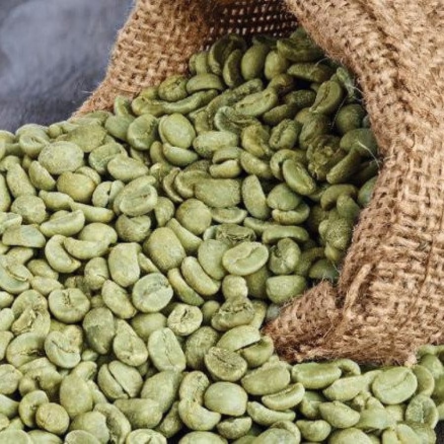 بن أخضر - برازيلي بريمافيرا فاخر (250 جرام)