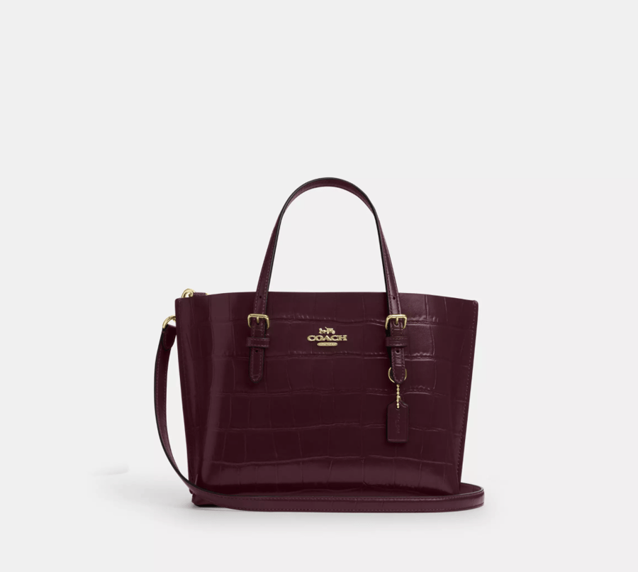 coach  | كوتش