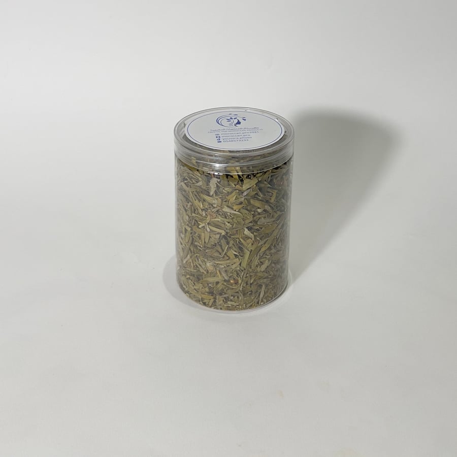 عشبة الزاز المغربية