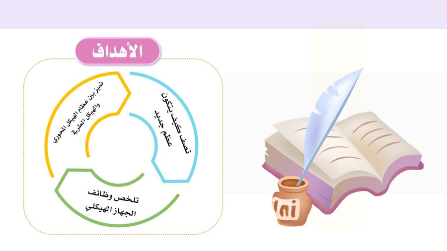 عرض بوربوينت تعليمي: الجهاز الهيكلي – أسئلة وتدريبات تفاعلية