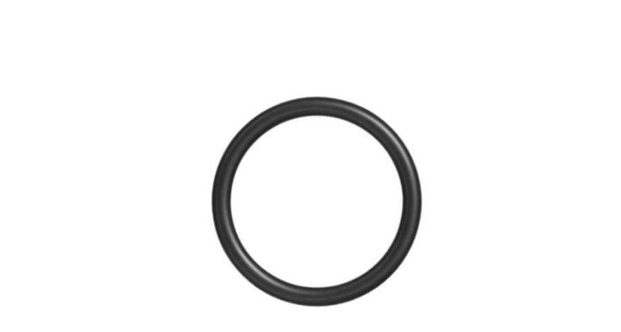 Cummins O-Ring Seal