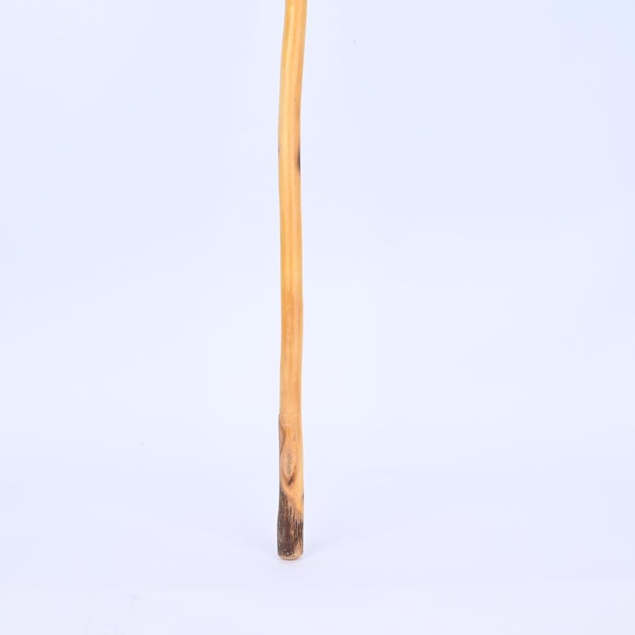 مشعاب شوحط
