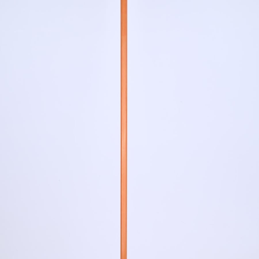 عصا الهايكنق.