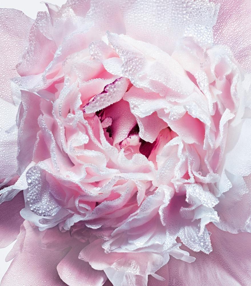 سبراي ديودرنت Miss Dior الوردي الفاخر للنساء