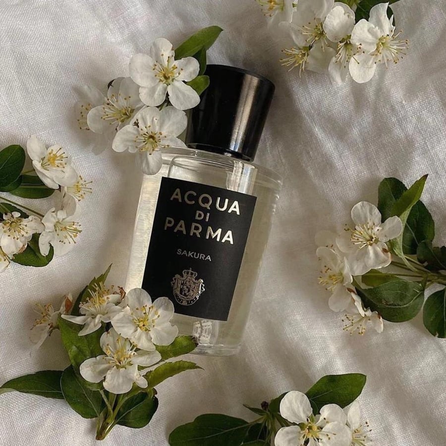 عطر اكوا دي بارما ساكورا او دو بارفيوم 100مل
