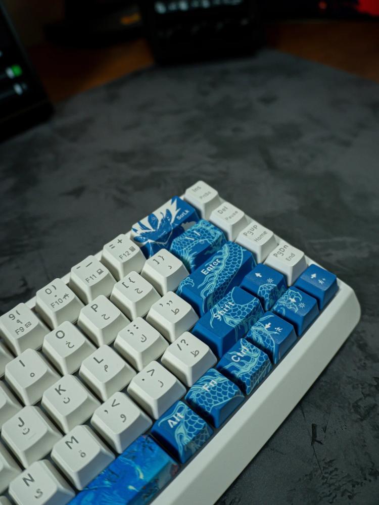 NEXT LEVEL GLADIATOR X68BLW