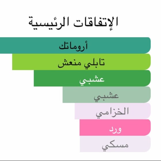 نمط نيكولاي بيتشولي 100 مل