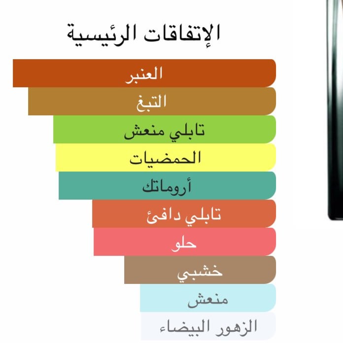 نمط سوفاج The One D&G