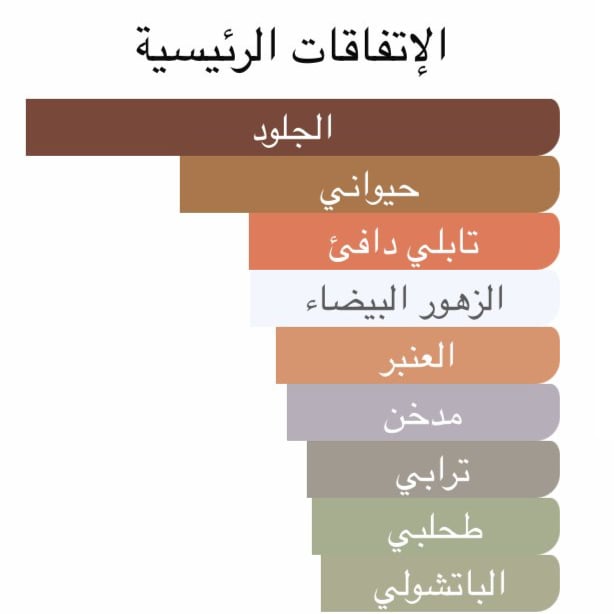 نمط عنبر ليذرز 100 مل