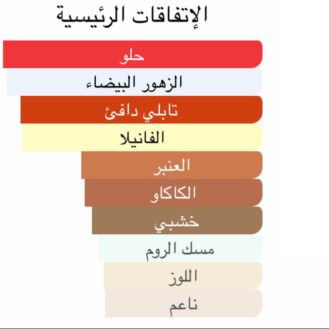 نمط قود قيرل R عطر نسائي ١٠٠ مل