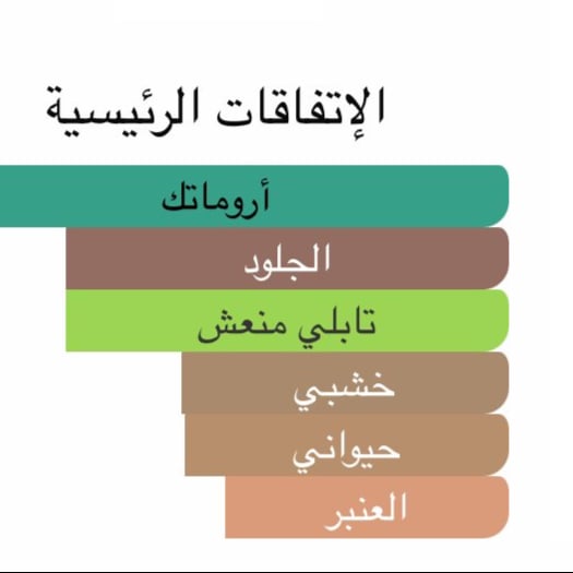 نمط ايريش ليذر 100 مل