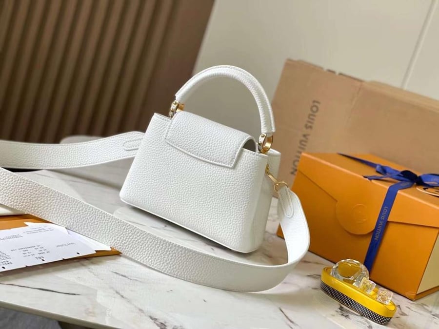 Louis Vuitton mini capes size 21cm