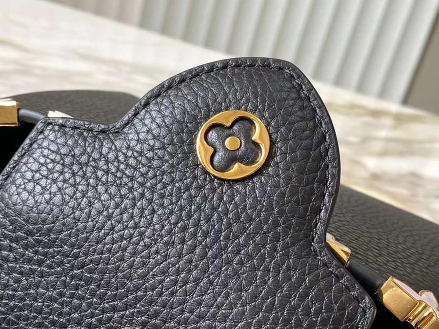لوي فيتون Nano Capucines مقاس 16.3cm