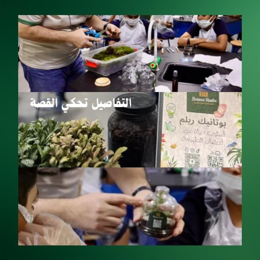 جلسة تصميم التيراريوم