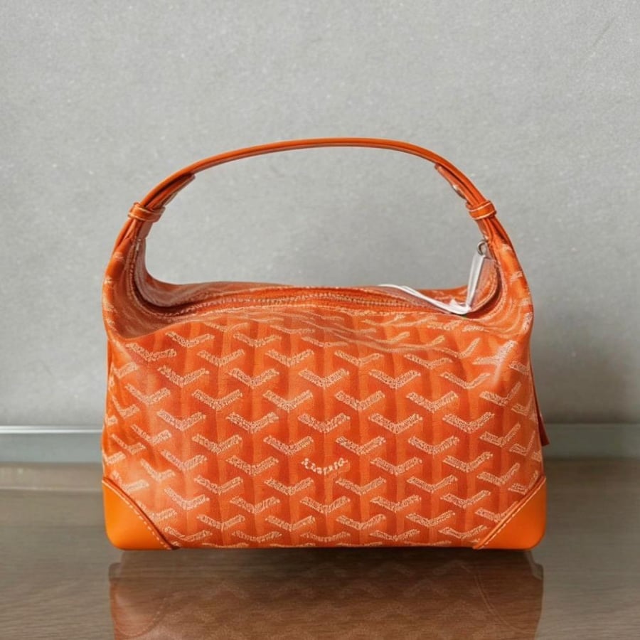 GOYARD Bag
