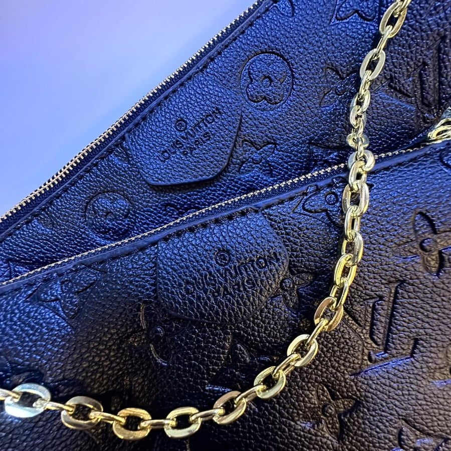 Louis Vuitton bag