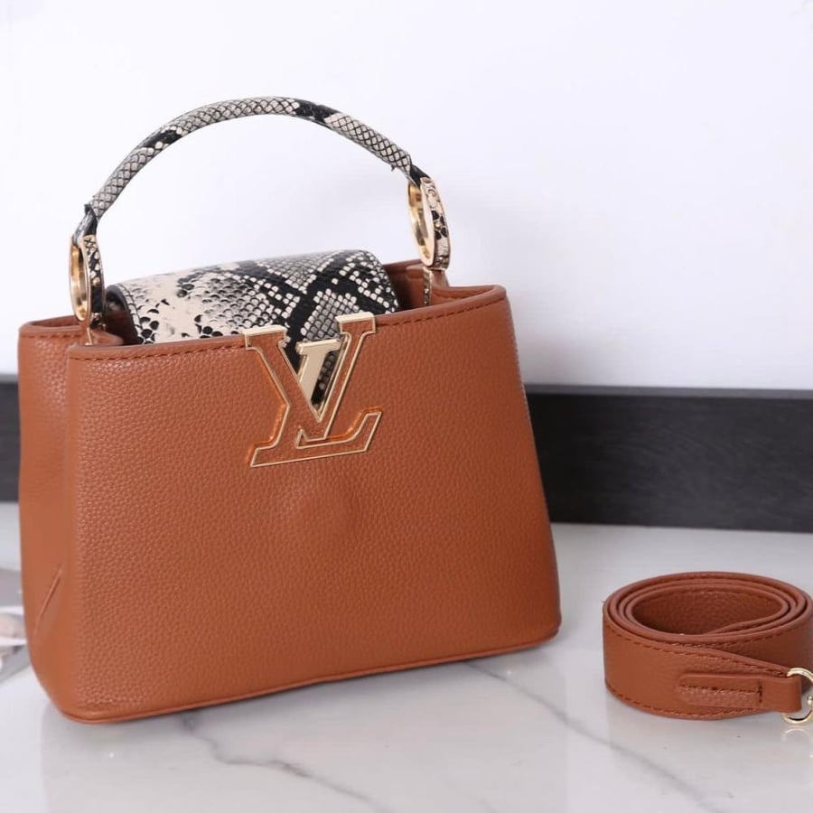Louis Vuitton bag