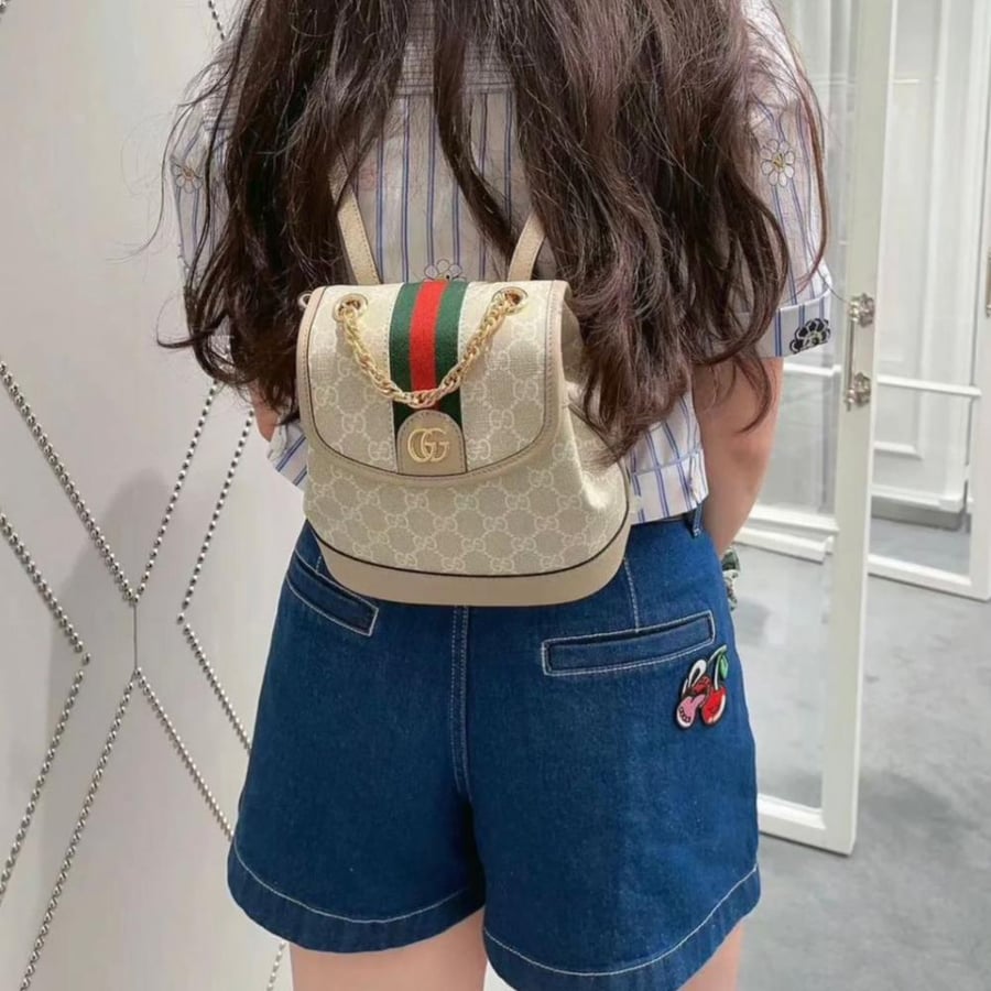 Gucci bag