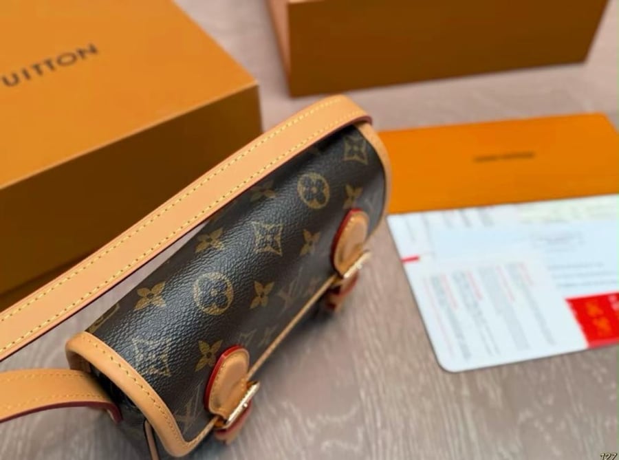 Louis Vuitton bag