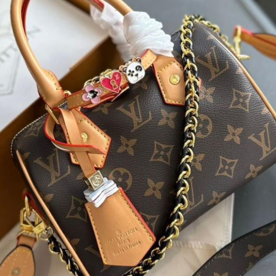 Louis Vuitton bag