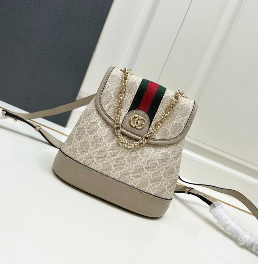 Gucci bag