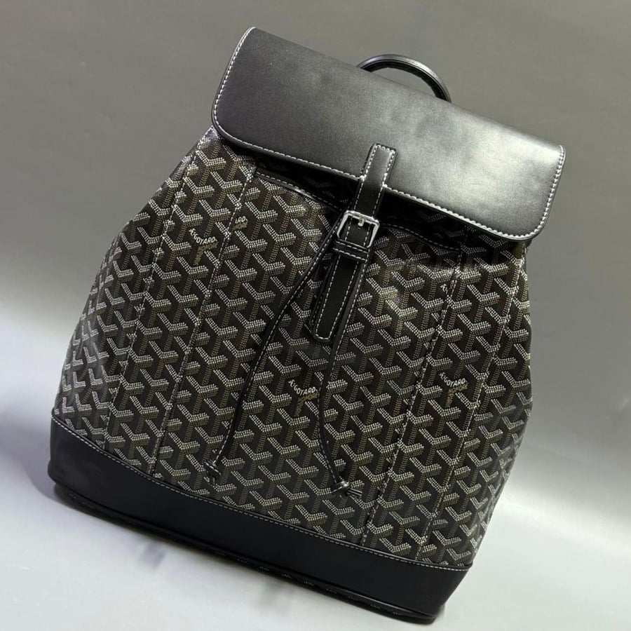 GOYARD Bag