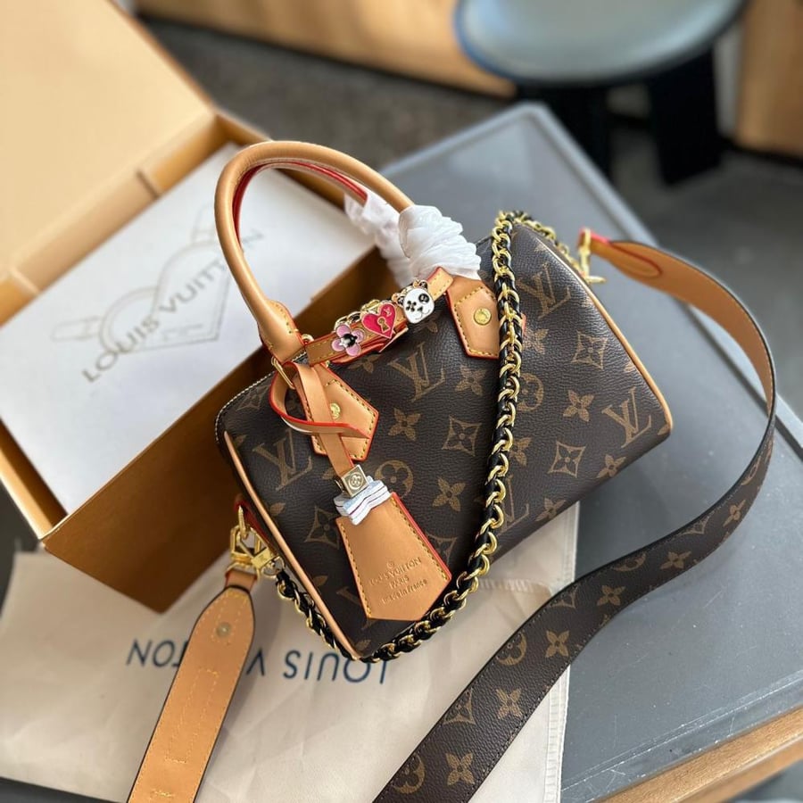 Louis Vuitton bag