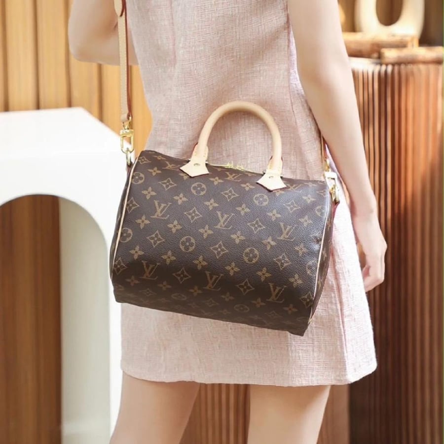 Louis Vuitton bag