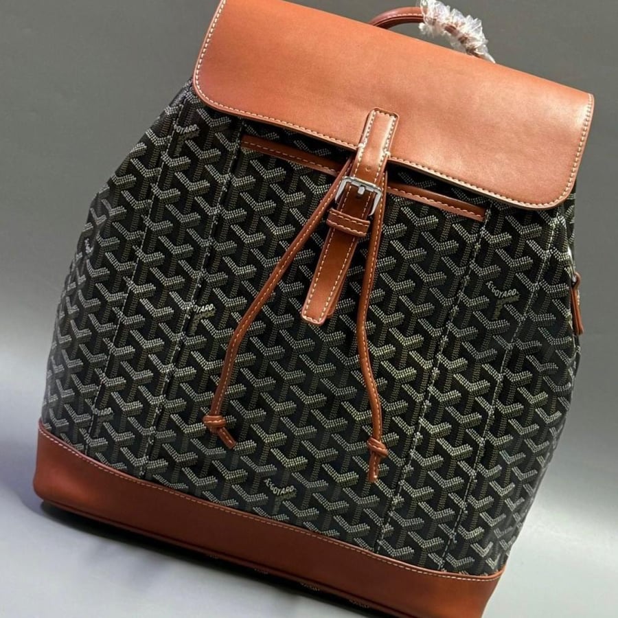 GOYARD Bag