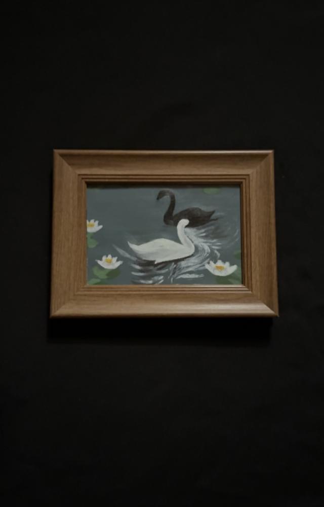 بكج Swan Lake