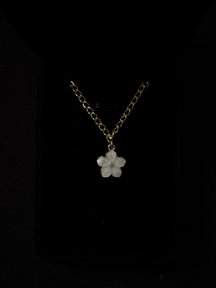 قلادة Floward2