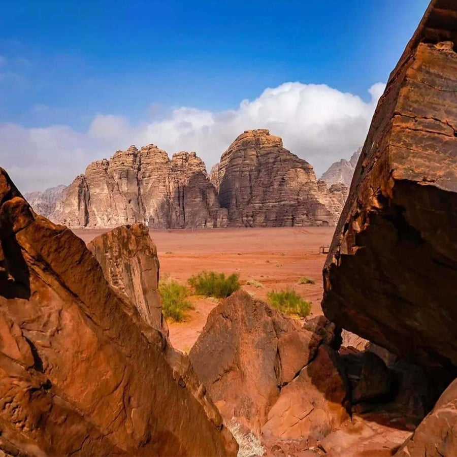 جولة الزيته وحقل - الرياض - جدة