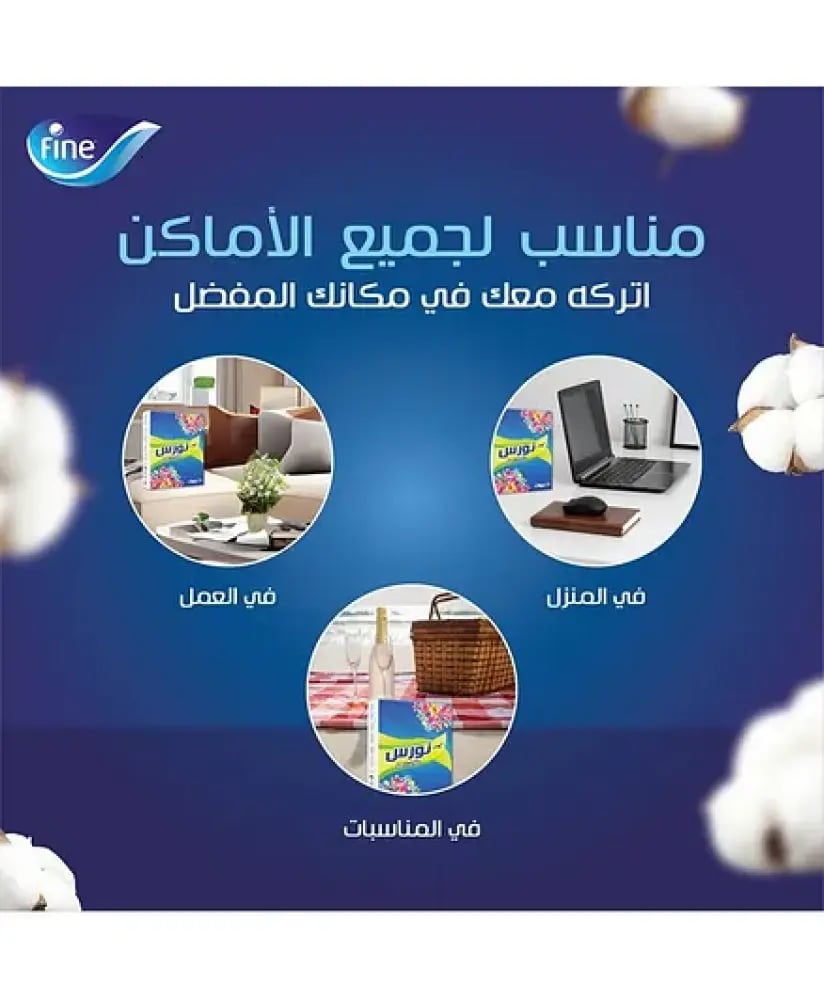 مناديل نورس للوجه طبقتين ( 10 عبوات ) 160 منديل ناعمة