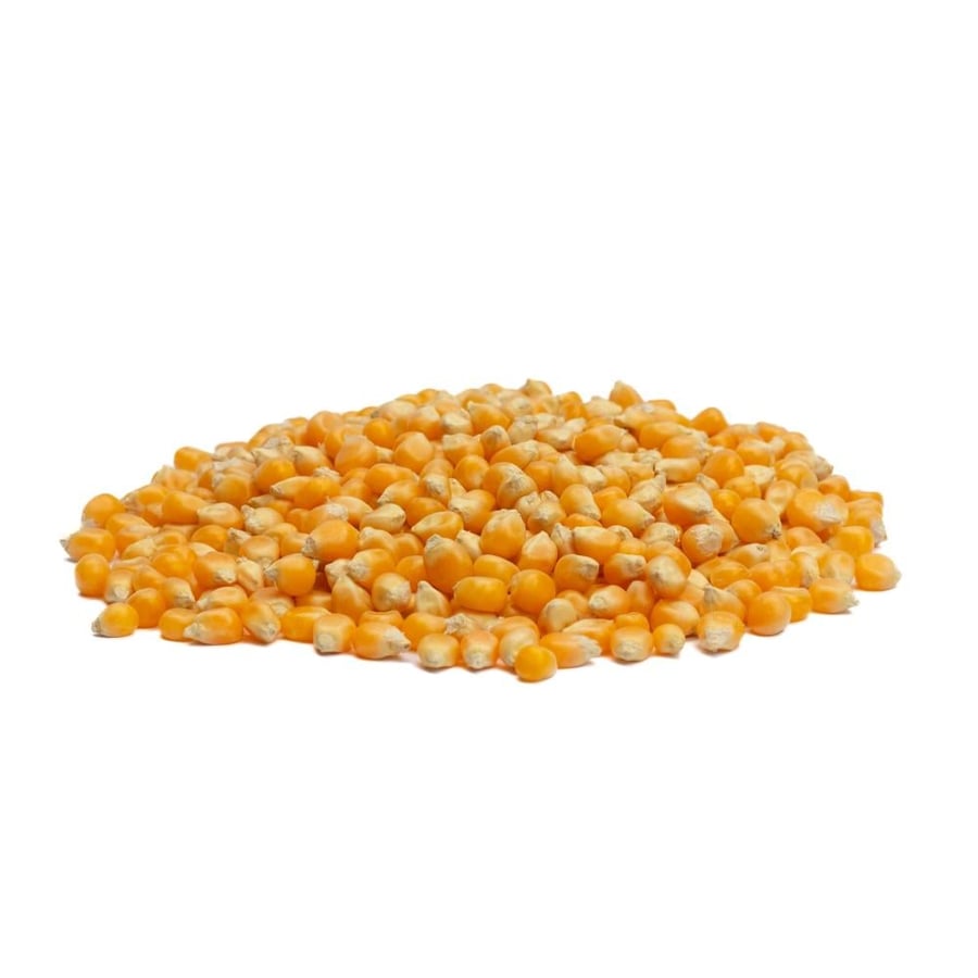Luxury white popcorn