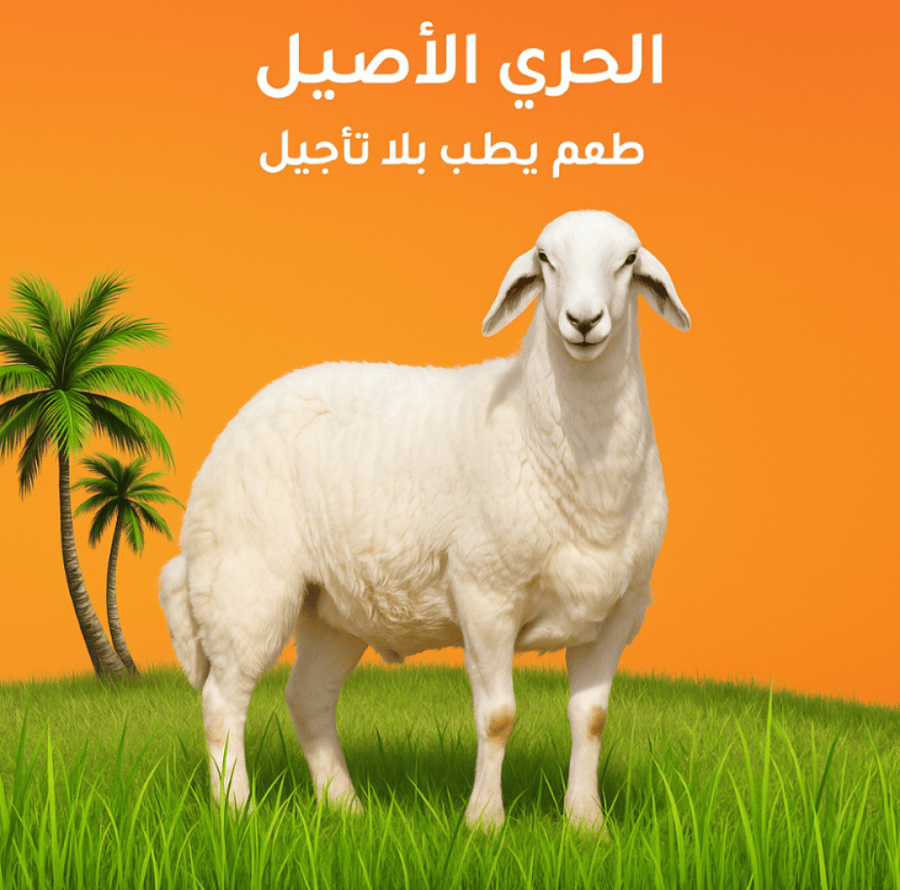 حري كبير – طعم يطلب بلا تأجيل