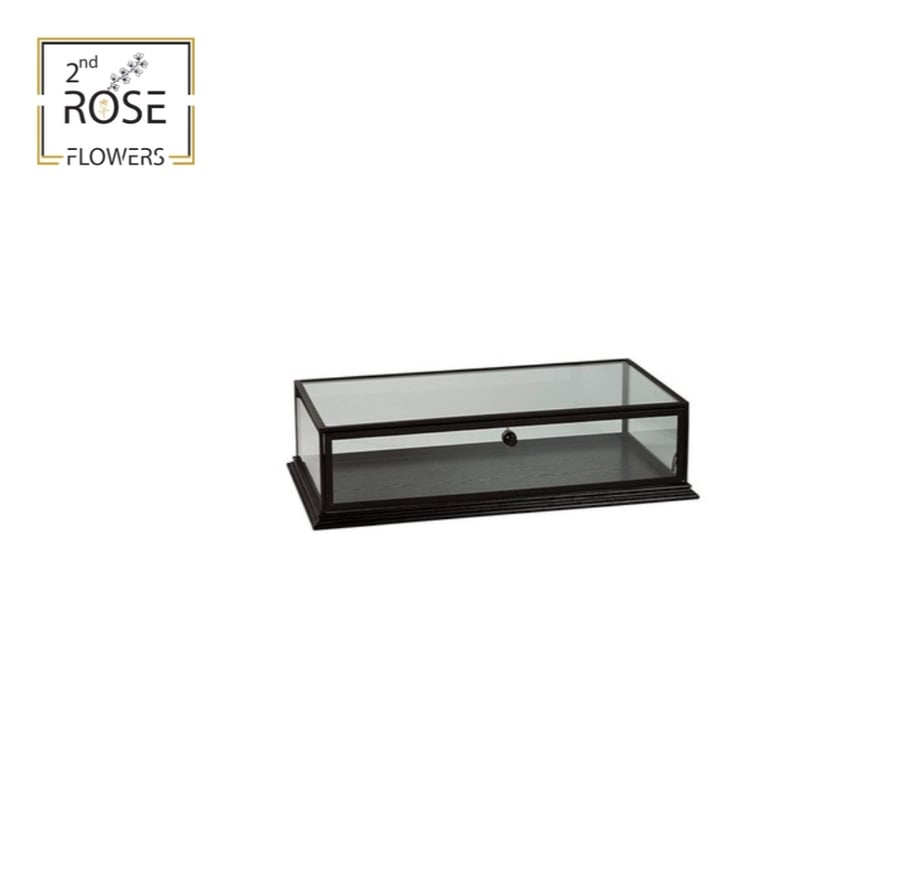 Glass box with wooden base