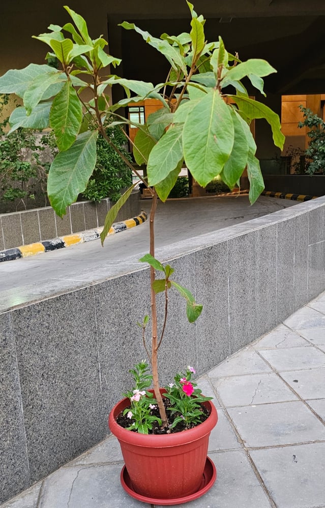 مؤتمراتك واجتماعاتك