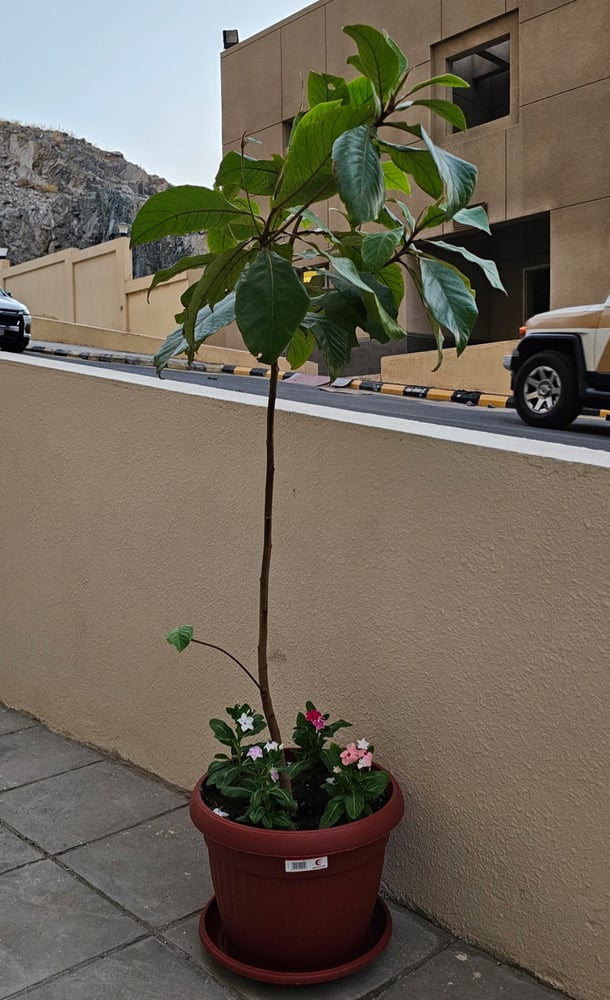 مؤتمراتك واجتماعاتك