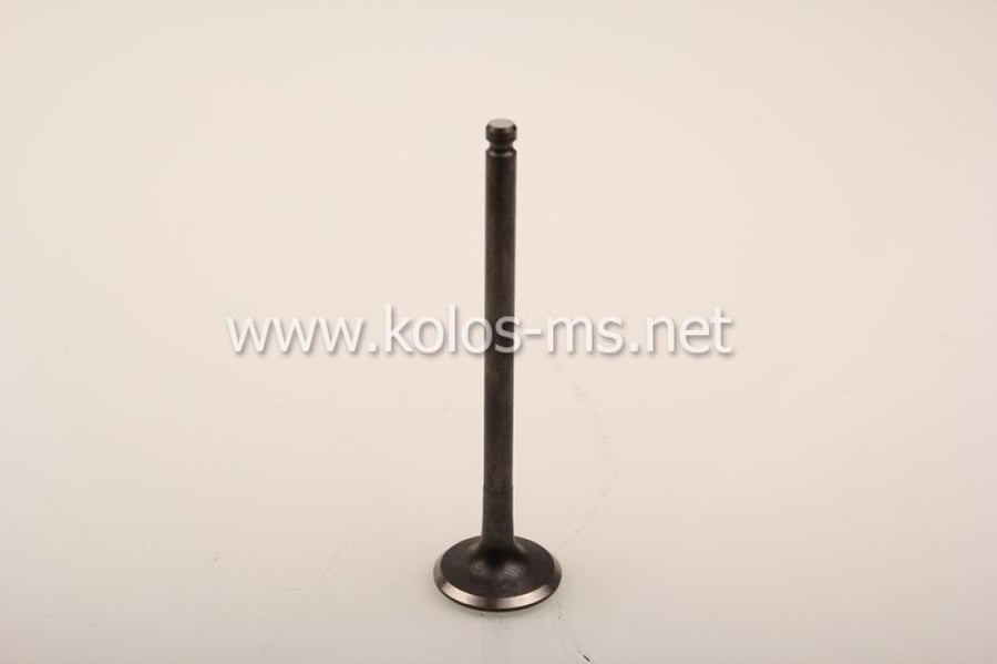 Exhaust valve